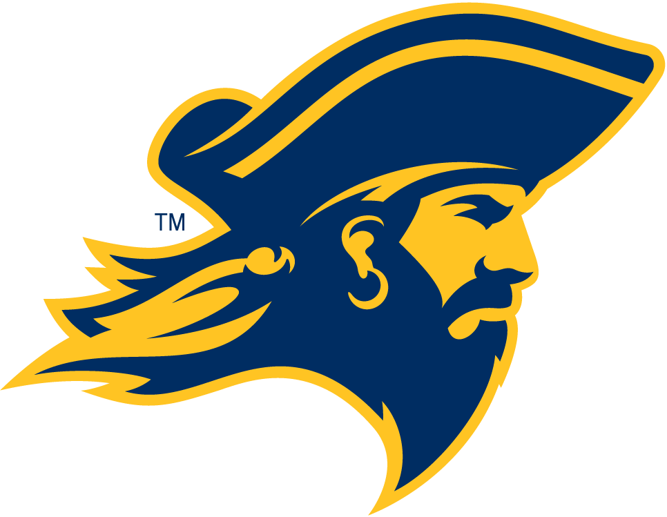 ETSU Buccaneers 2014-Pres Partial Logo diy DTF decal sticker